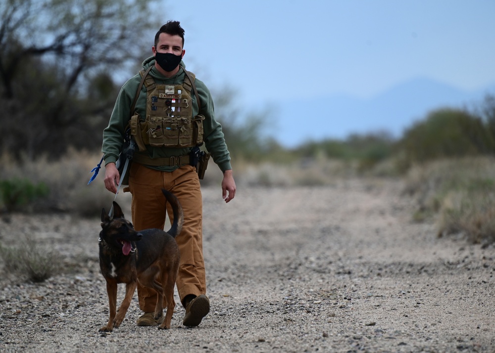 355th SFS military working dog team training