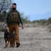 355th SFS military working dog team training