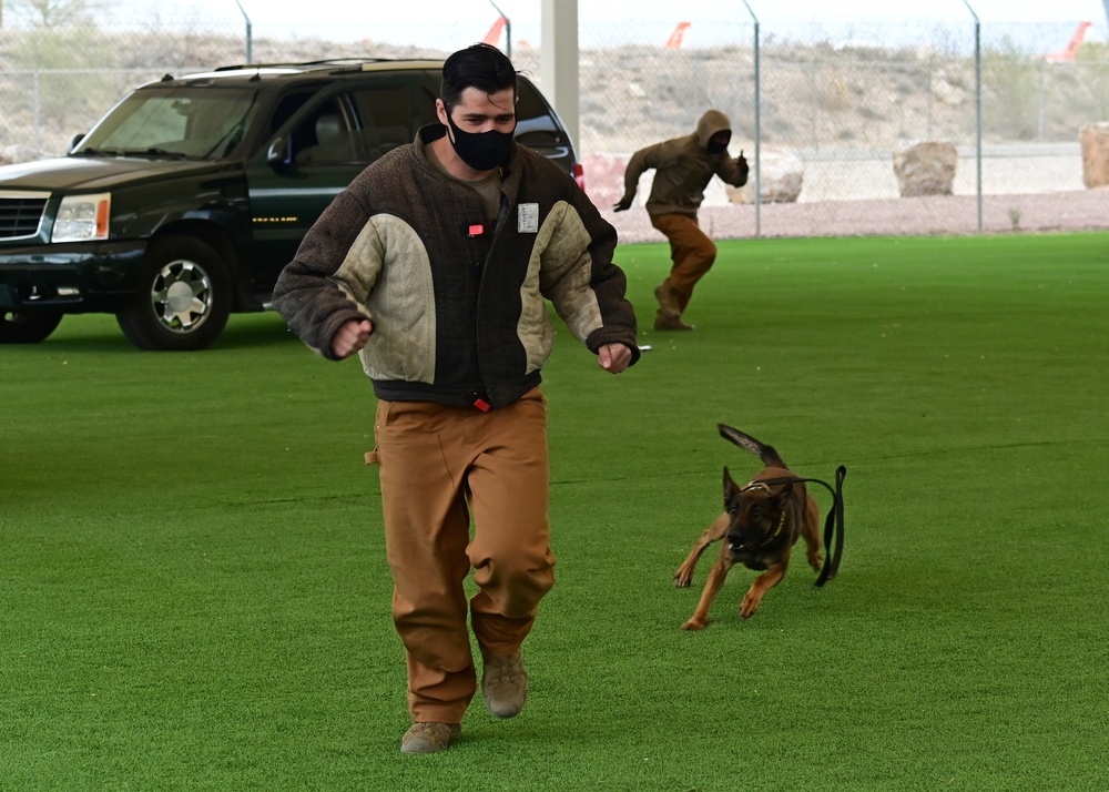 355th SFS military working dog team training