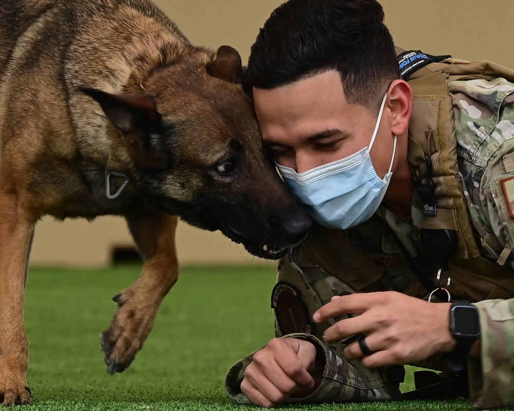 355th SFS military working dog team training