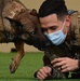 355th SFS military working dog team training
