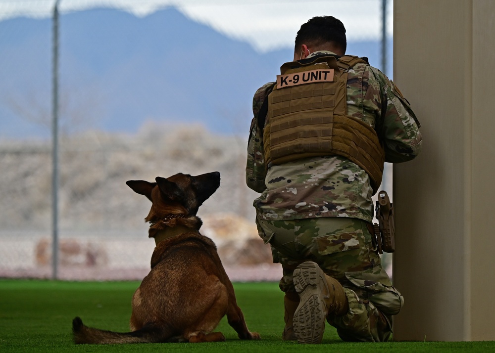 355th SFS military working dog team training