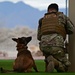 355th SFS military working dog team training