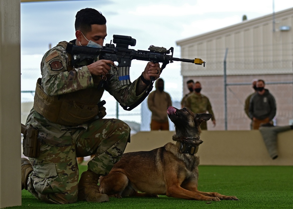 355th SFS military working dog team training