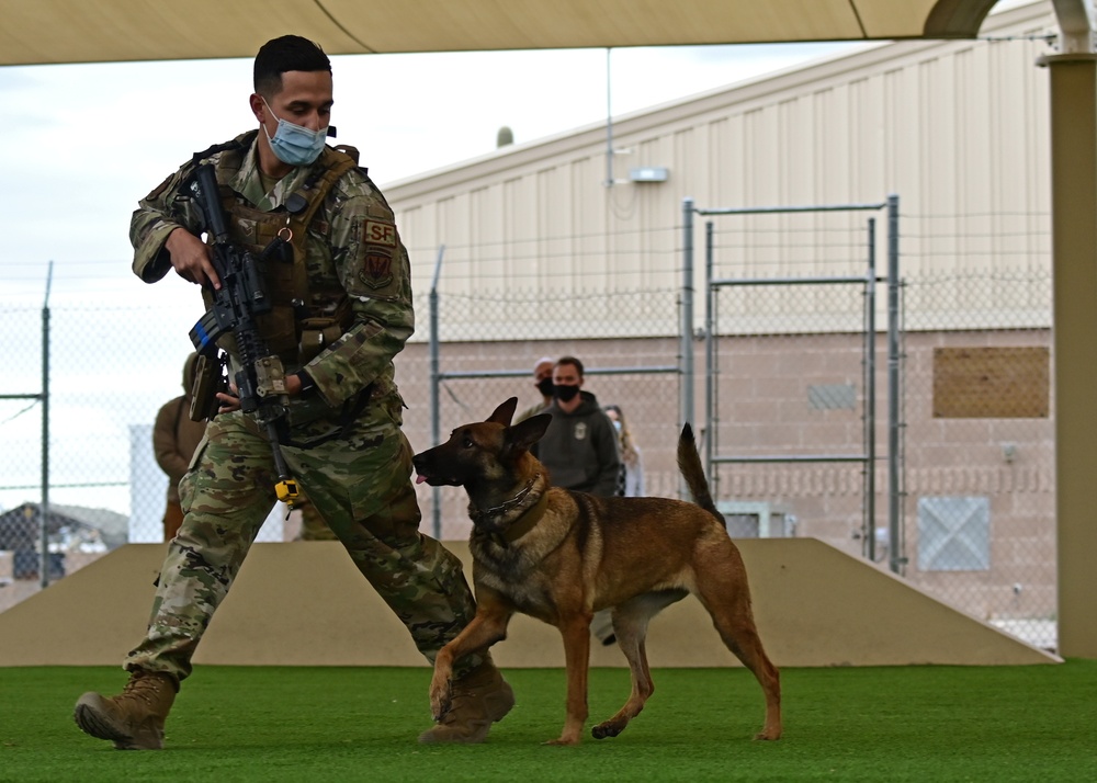 355th SFS military working dog team training
