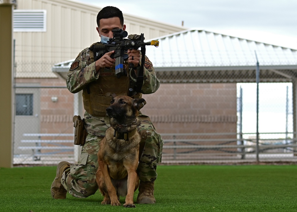 355th SFS military working dog team training