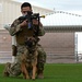 355th SFS military working dog team training