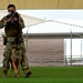 355th SFS military working dog team training