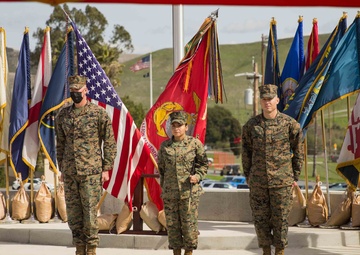 5/11 Relief and Appointment