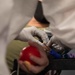 Bronco Brigade Blood Drive