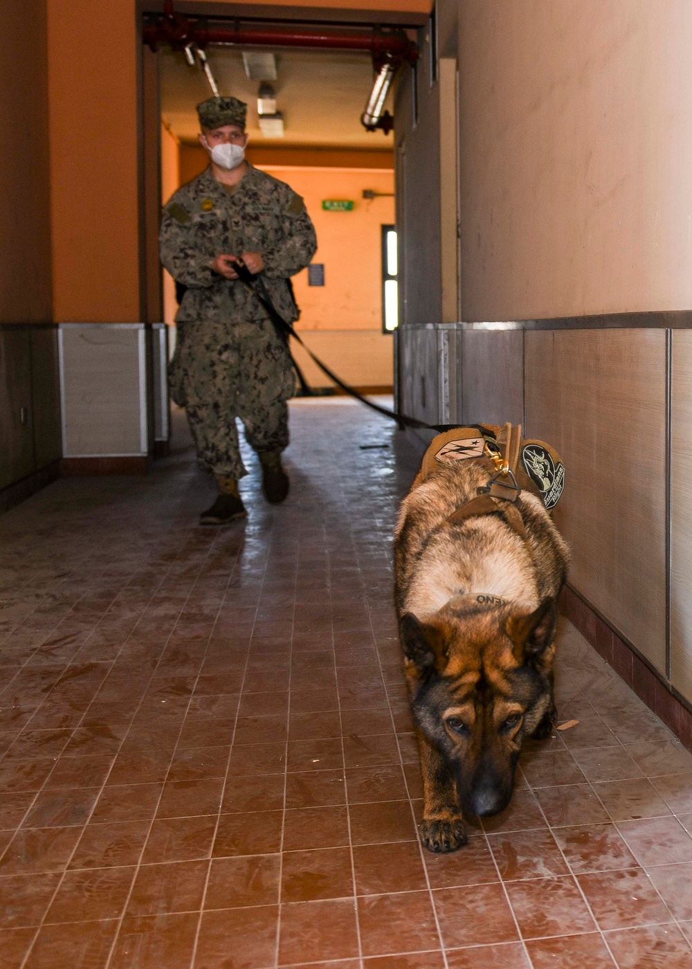 NSA Naples Security Deptartment Conducts Explosive Detection Evolution