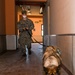 NSA Naples Security Deptartment Conducts Explosive Detection Evolution