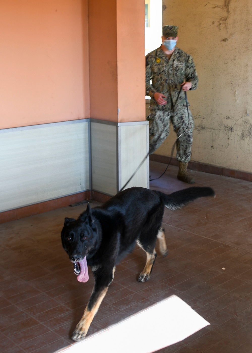 NSA Naples Security Deptartment Conducts Explosive Detection Evolution