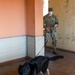 NSA Naples Security Deptartment Conducts Explosive Detection Evolution