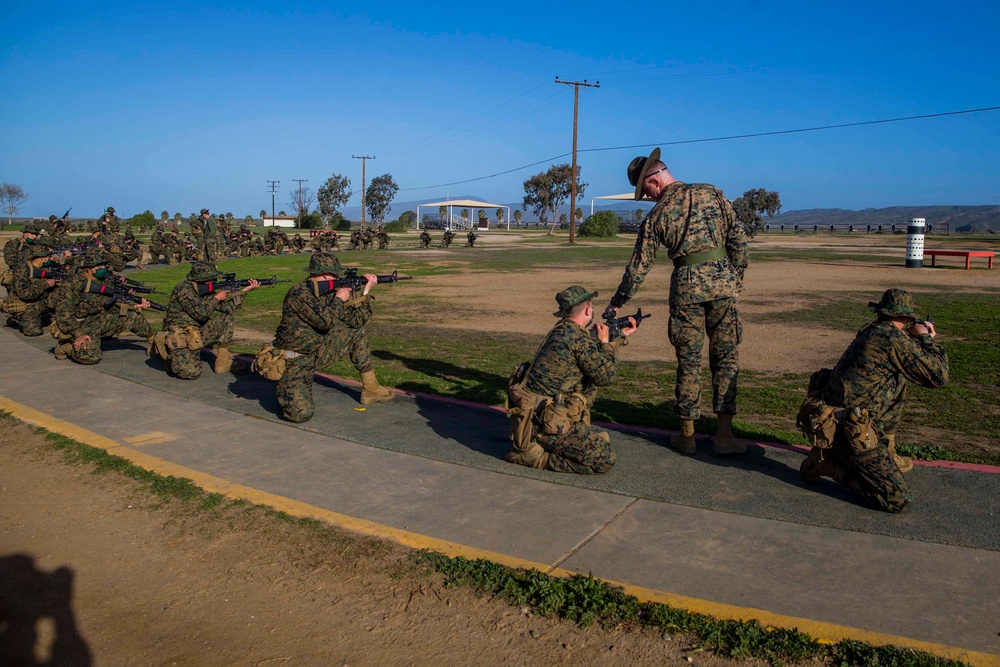 Alpha Company Grass Week