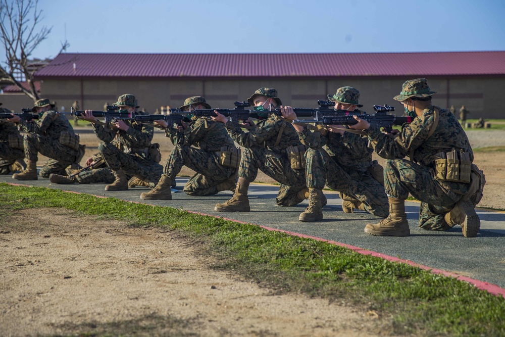 Alpha Company Grass Week