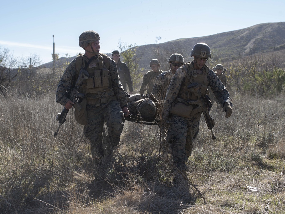 Battalion Landing Team 1/1 executes Tactical Recovery of Aircraft and Personnel exercise