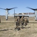 Battalion Landing Team 1/1 executes Tactical Recovery of Aircraft and Personnel exercise