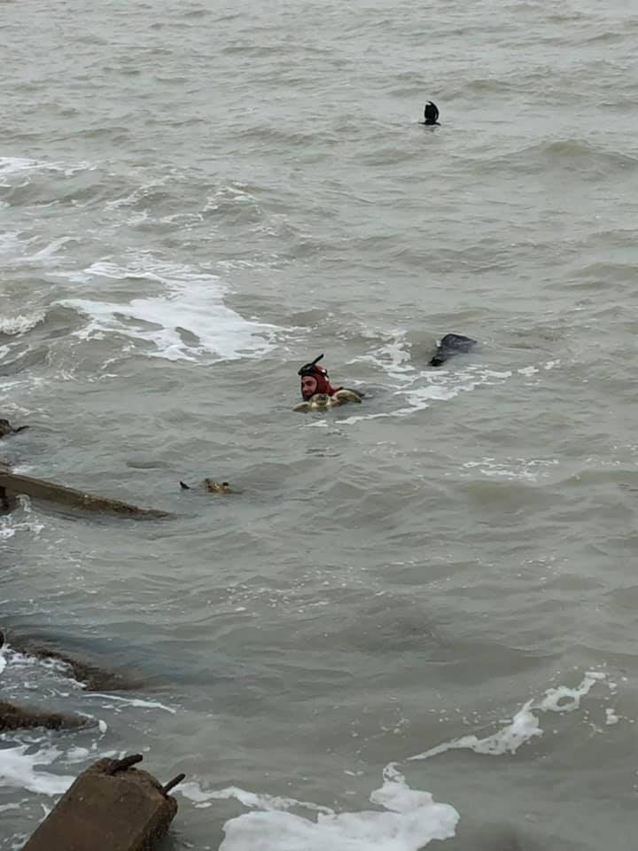 Coast Guard helps rescue 60 sea turtles near South Padre Island, Texas