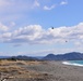 Numazu Beach Landing, a 459th AS first