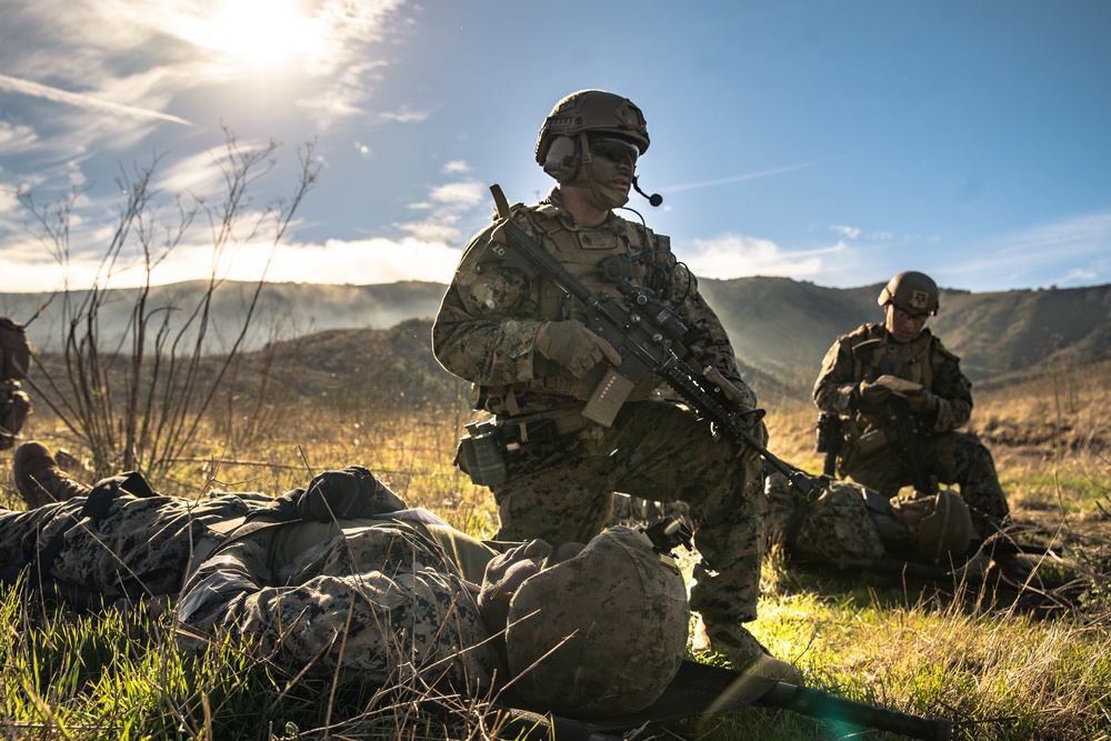 DVIDS - Images - Battalion Landing Team 1/1 completes helicopter raid ...