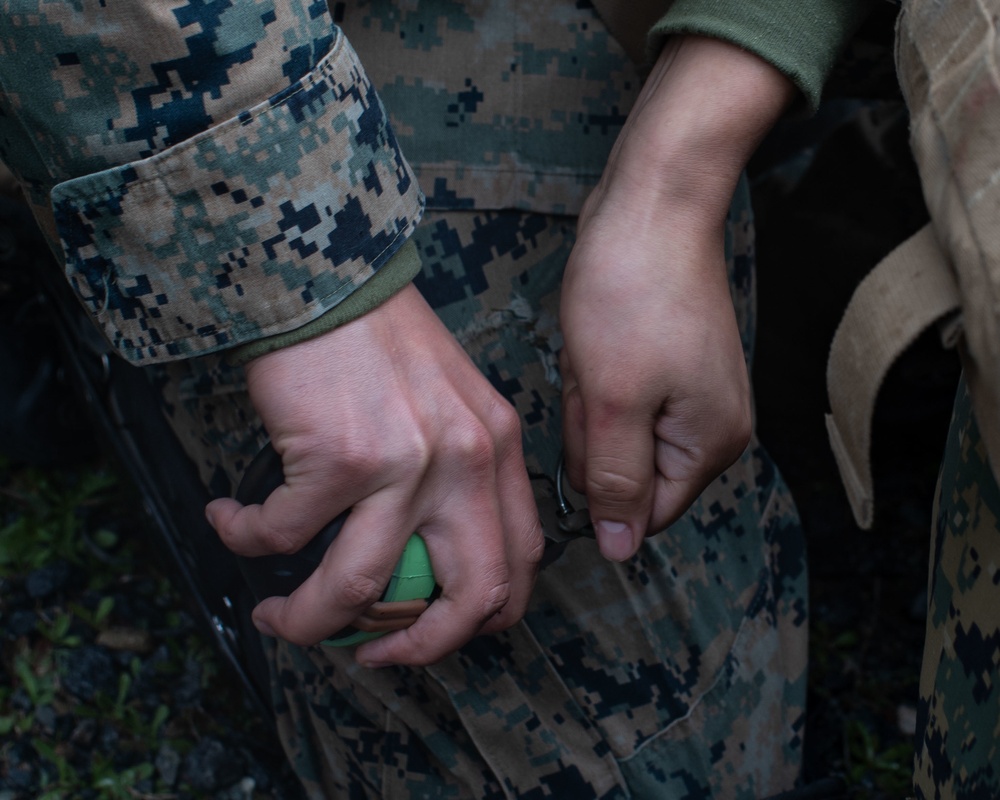 11th MEU conducts non-lethal weapons training