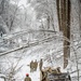 W.Va. Guard Winter Storm Response