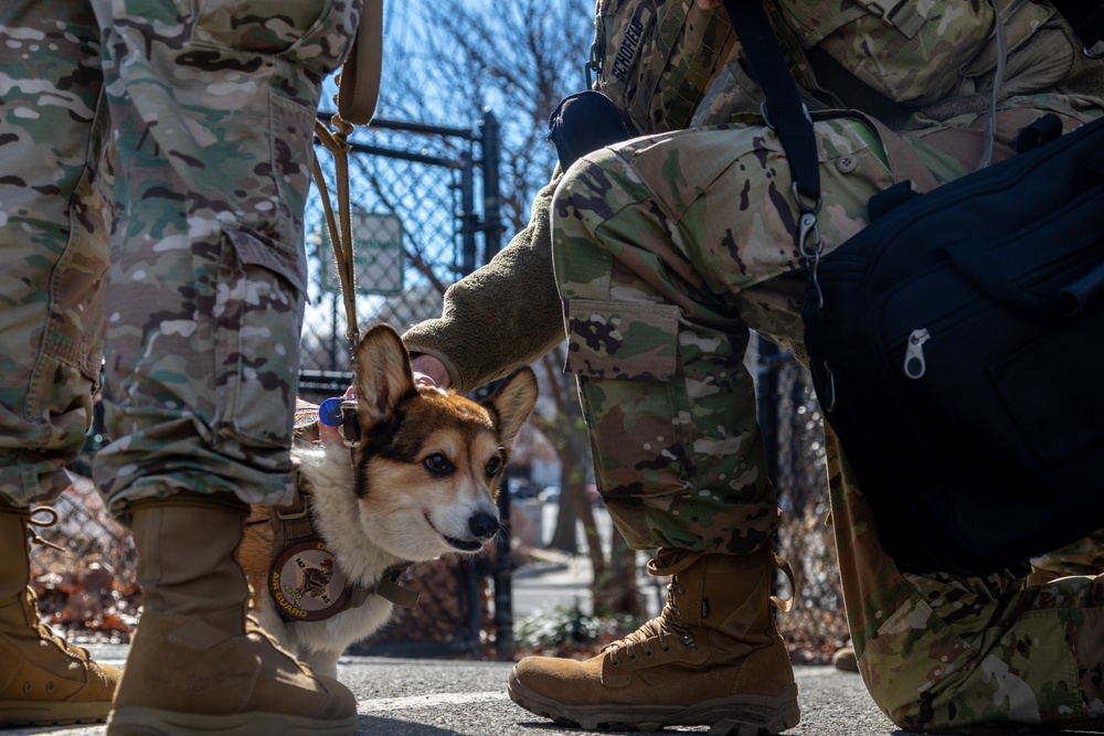 Delaware Army National Guard Soldiers receive a religious message from a Chaplain and her dog Gus.