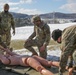Soldiers load a simulated casualty