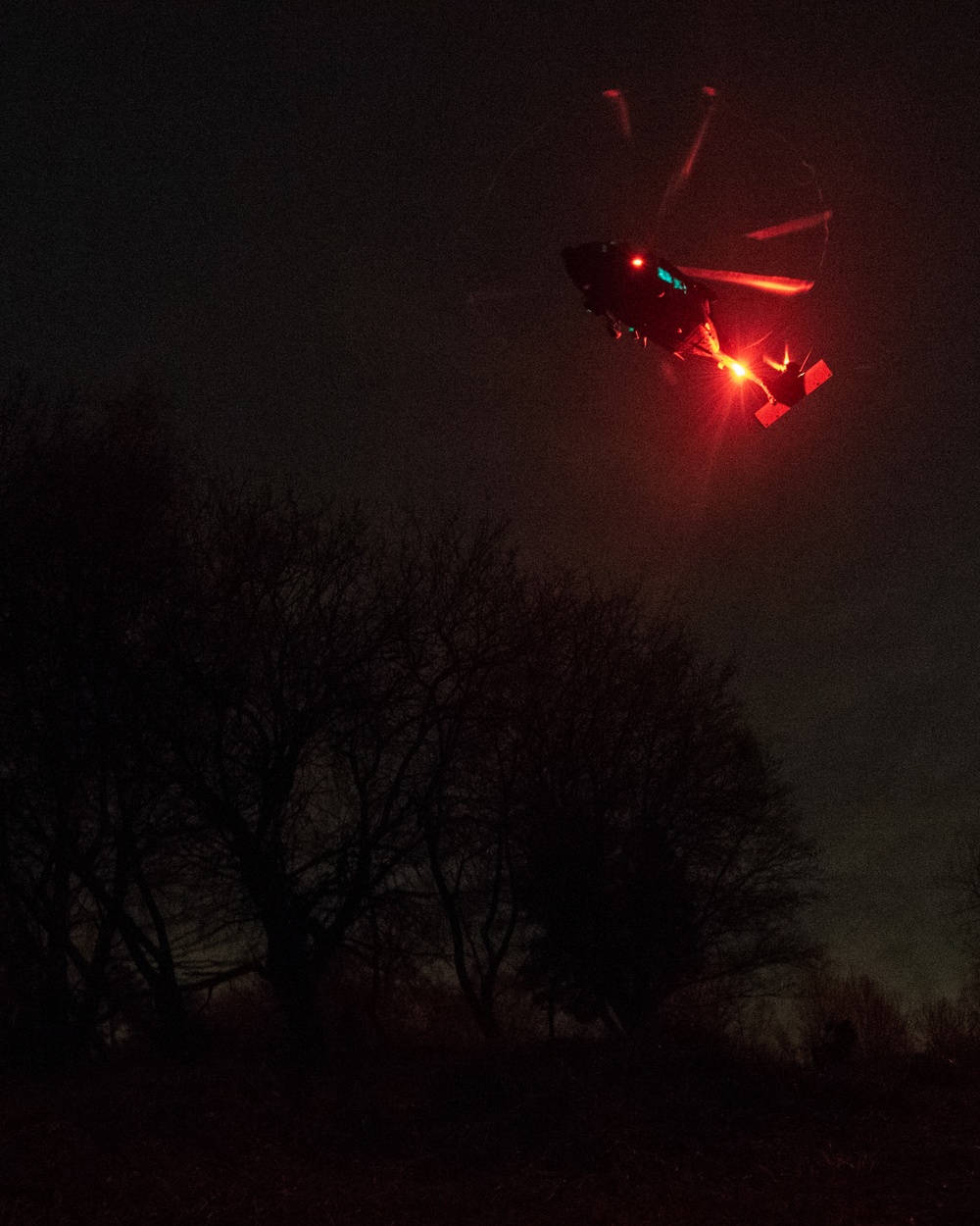 Night Hawk