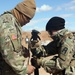 Dagger Brigade improve Soldiers shooting skills