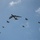 B-52 participates in Cope North flyover B-52 participates in Cope North flyover