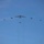 B-52 participates in Cope North flyover B-52 participates in Cope North flyover