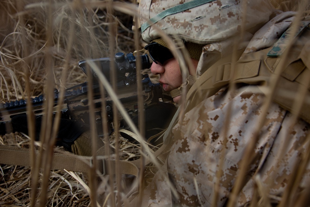 3d Battalion, 8th Marine Regiment Participates in Fuji Viper 21-2.2