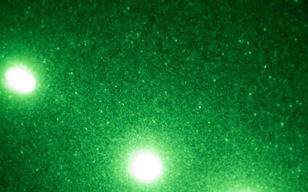 Bravo 1/4, VMM-164 (Rein) Marines conduct night CAS training