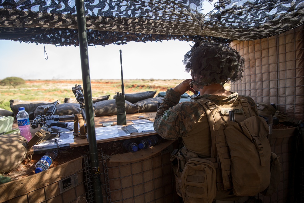 Bravo Company, BLT 1/4 Marines provide security at Baledogle Military Airfield