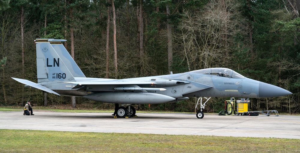 Liberty Wing eagles in action