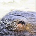 Fort McCoy CWOC class 21-03 students jump in for cold-water immersion training