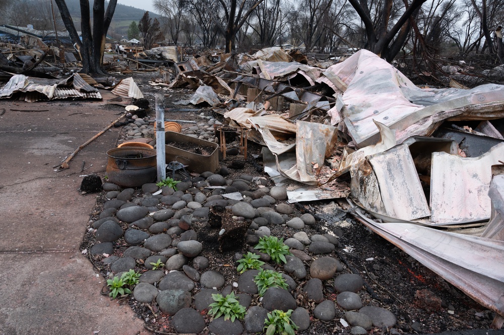 Wildfire damage in Oregon