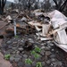 Wildfire damage in Oregon