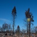 Signs of life among the wildfire damage in Oregon