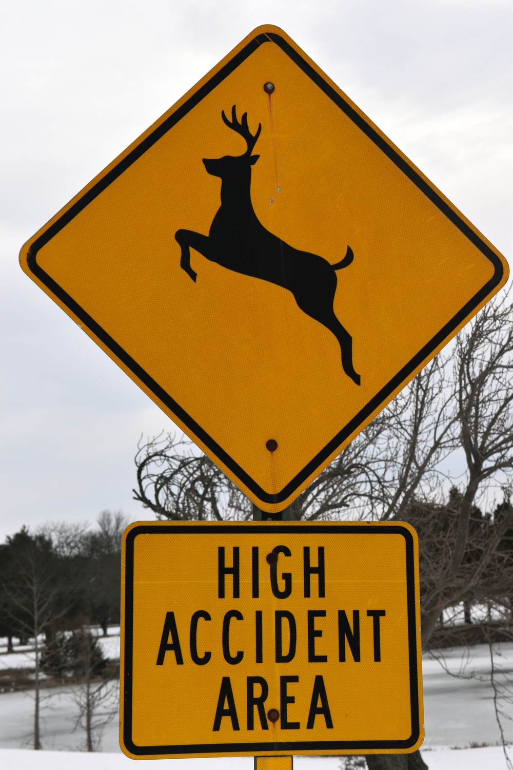 Beware of the Deer!