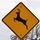 Beware of the Deer!