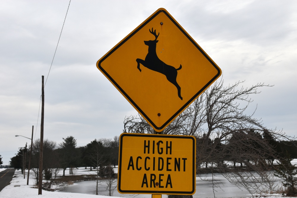 Beware of the Deer!