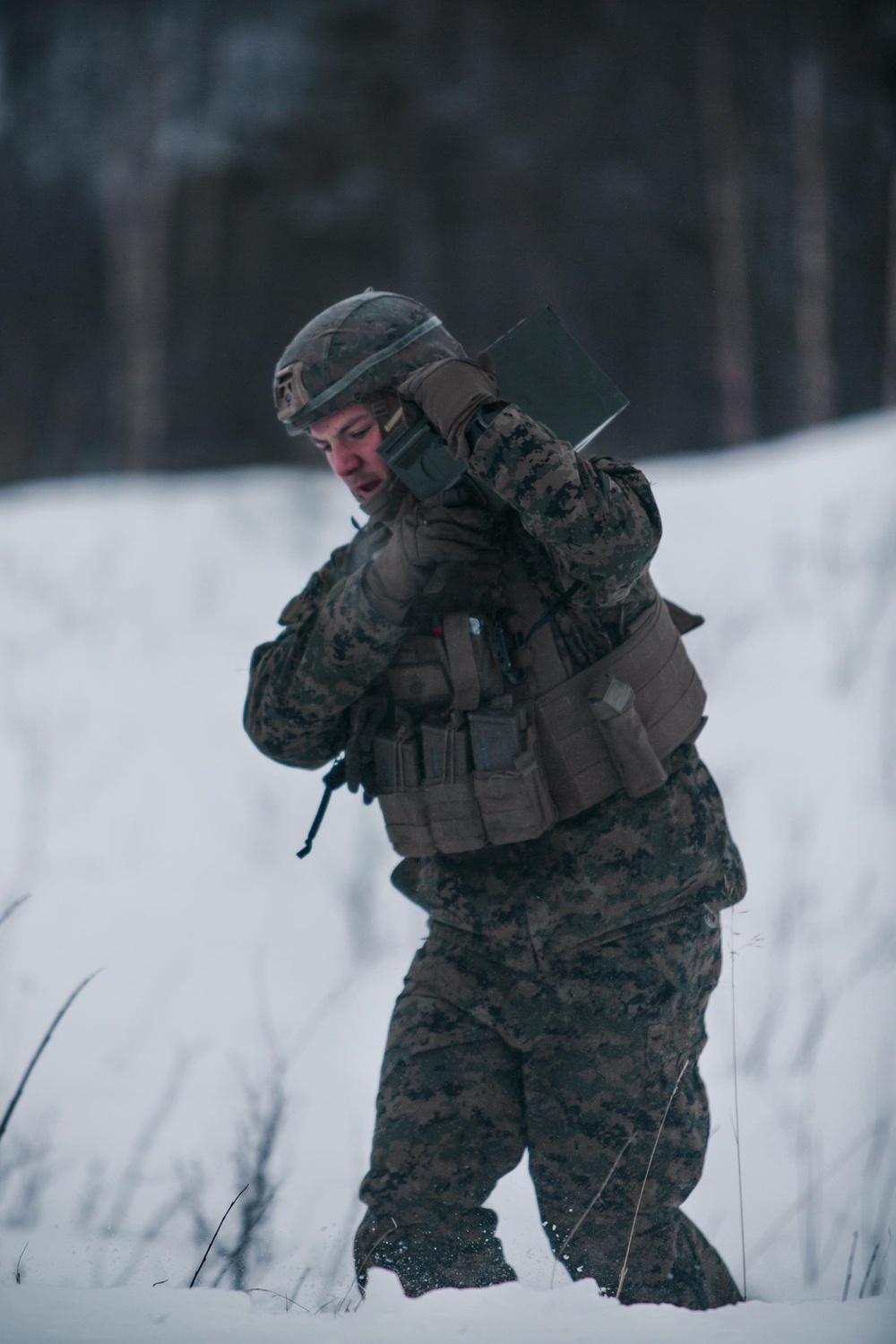 Look What the CAAT Dragged In: MRF-E Marines Conduct Live-Fire Range