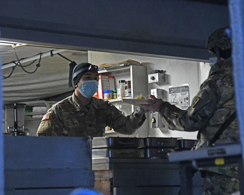 Medics and Surgeons train in Baumholder