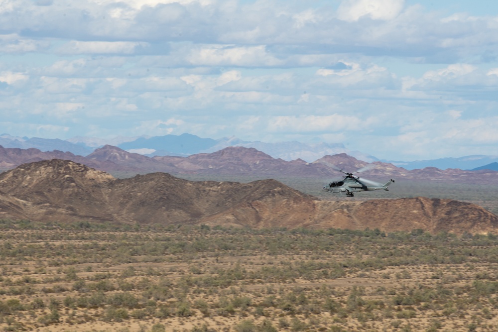 1st ANGLICO at Exercise Winter Fury