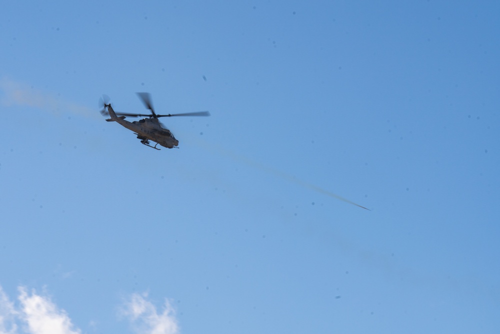 1st ANGLICO at Exercise Winter Fury