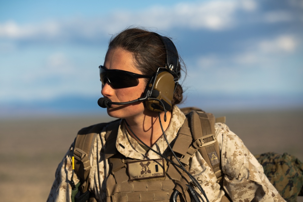 1st ANGLICO at Exercise Winter Fury
