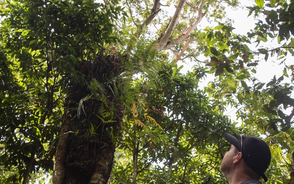 The Serianthes Tree at Ritidian: Leaving Behind a Legacy of Hope